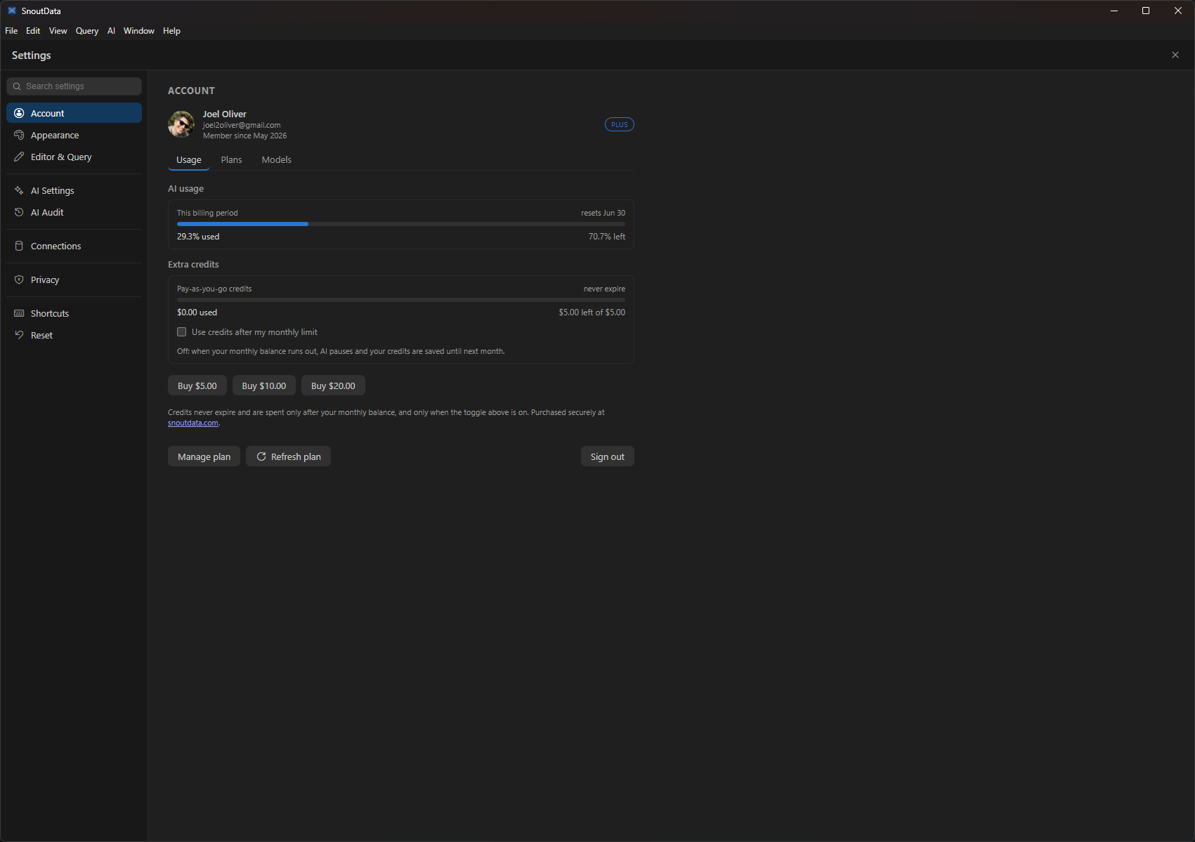 The account settings panel: plan badge, AI usage for the billing period, and credits