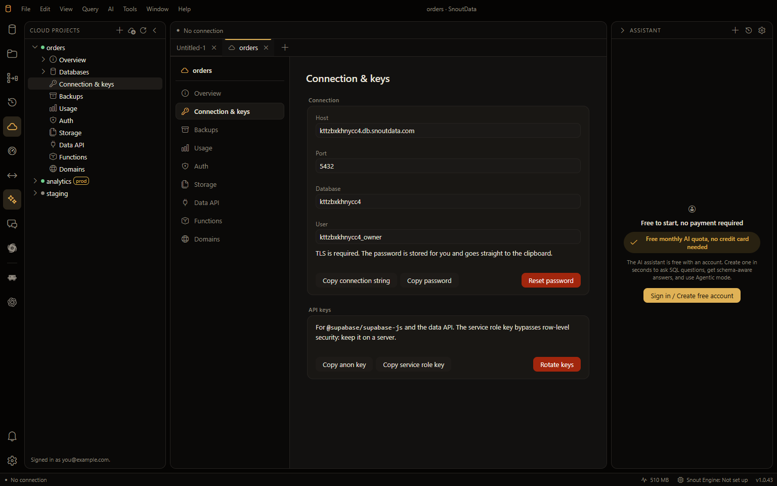 The Connection &amp; keys section: host, port, database and user, buttons to copy the connection string and the password, Reset password, and the API keys with Rotate keys